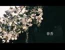 春香／初音ミク