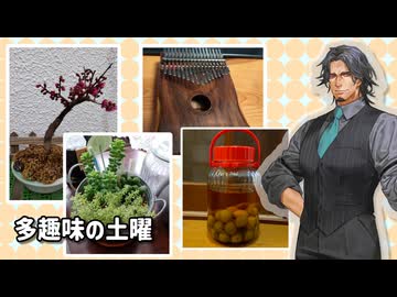 フリモメン（多趣味）の土曜日