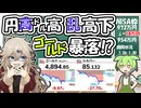 ドル円乱高下,株安ゴールド安⁉あと選挙って株上がるの？【ずんだもん解説】【市況】