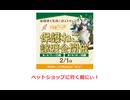 保護ねこの家譲渡会 in 天王寺