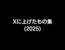 Xに上げたもの集2025