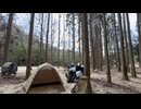 HAPPY山オートキャンプ場②