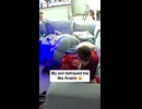 やじゅまんと見るセイバー
