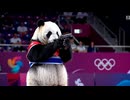 やじゅまんと見るオリンピック