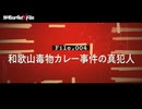 和歌山毒カレー事件の闇　証拠なき死刑　林眞須美は本当に真犯人なのか？ 【NoBorder X File #004】