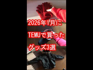 2026年1月にTEMUで買ったグッズ3選