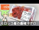 ビッグで買った「モロッコ産の養殖本まぐろのお刺身（659円）」