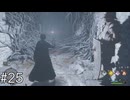 うぞうぞ洞窟探検系ASMR【ホグワーツ・レガシー】#25