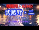 【睡眠用】  九州そら（ささやき）  '' 武蔵野・二 '' （ 作・国木田独歩 ）  【ASMR】