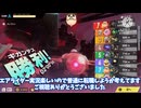 【カービィのエアライダー】世界を支配してみた