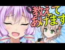 新入りに教育を施そうとするゆかりさん