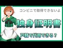 15 独身証明書は戸籍で代用できるの？