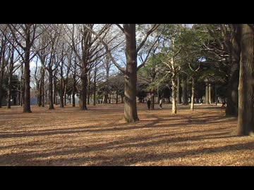 ゼンマイ恋時計