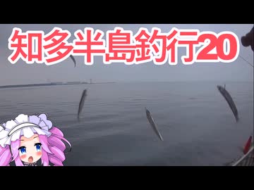 【カタクチイワシ】知多半島釣行20【カサゴ】