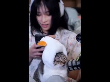 ホモと見る飼い主の趣味に付き合わされてお疲れなネコ