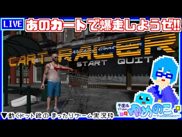 【アーカイブ】平面系実況者の『CartRacer』配信 2026.1.14