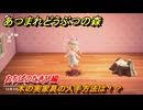 あつまれどうぶつの森　木の実家具の入手方法は！？　おちばのたきび編　レシピを手に入れる方法は？　＃４７５　【あつ森】