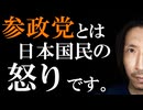 参政党現象とは日本国民の怒りですって話。（編集バージョン）