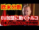 【欧州】トルコがEU加盟に動き出した！欧米の溝が深まる中でしたたかに動くエルドアン政権！