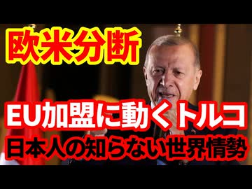 【欧州】トルコがEU加盟に動き出した！欧米の溝が深まる中でしたたかに動くエルドアン政権！