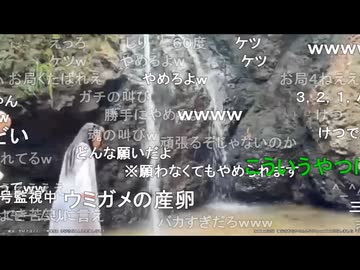 うちゃんの滝修行【2026年1月】