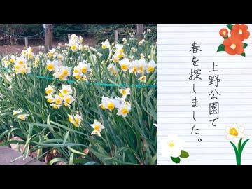 【散歩】上野公園、春のはじまり（2026年春の特別企画　第１話）