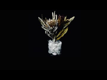 僕はここに居られないよ (feat. 初音ミク)【公式MV】
