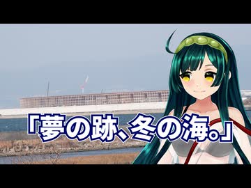 冬の大阪南港をS1IIで歩く。万博の夢の跡と野鳥たち【東北ずん子】