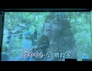 カラオケ「楽園のDoor」南野陽子