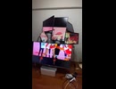 やじゅまんと見る限界突破したディスプレイ