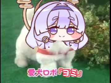 愛犬ロボ　ヨミ
