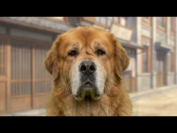 【猫ミーム】父方の祖父母の話