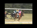 2006 きさらぎ賞(GIII)　ドリームパスポートvsメイショウサムソン