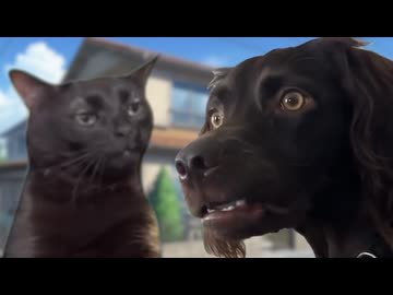 【猫ミーム】私が生まれた時の話。