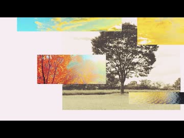 カルダモンP - 太陽のほとり (feat. 初音ミク)