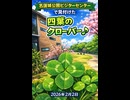 2026年2月2日のVlog 名護城公園ビジターセンターで見つけた四葉のクローバー♪
