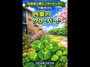 2026年2月2日のVlog 名護城公園ビジターセンターで見つけた四葉のクローバー♪