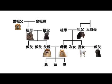 【猫ミーム】家系図