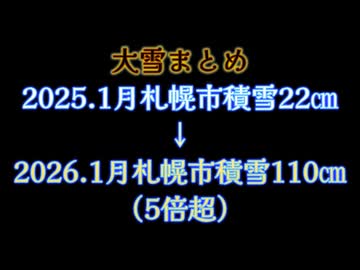 大雪の爪痕は深すぎて...