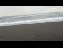 茅ヶ崎の海。(波の音)