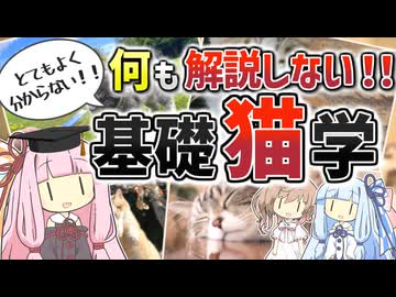 【コント】何も解説しない！基礎猫学