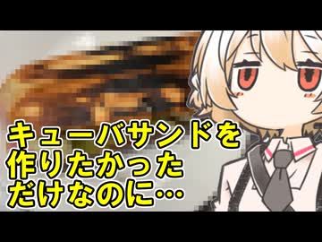 キューバサンド（惨敗）【ナースロボ】