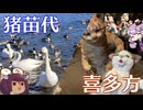 もこもこ猫たちのミュージアムと猪苗代湖に行ってきた【VOICEROID旅行】