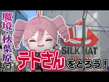 魔境で挑戦！テトさんのぬいぐるみ！！【クレーンゲーム】【CeVIO実況】