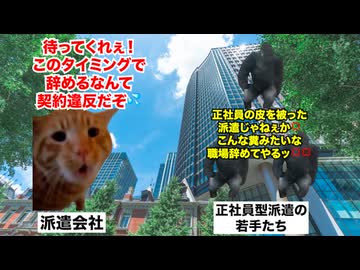 【正社員型派遣】デタラメな内容で情弱を騙すアコギな雇用形態の内情 #猫マニ #猫ミーム