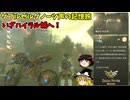 【ゆっくり実況】ダブルゼルダノーツ ゆっくり声の記憶を巡る旅 part13 ハイラル城編【Zelda Notes】