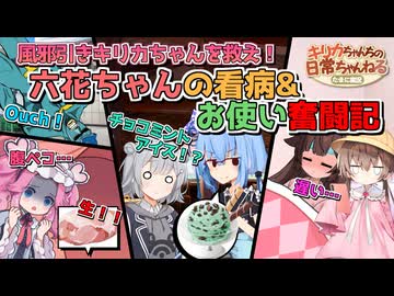 看病＆押し売り＆人助けにストリートファイト！大忙しの六花ちゃん！！【ソフトウェアトーク劇場】【VOICEROID劇場】