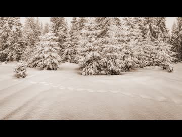 【誰得？俺得！】GLAYの「Winter, again」を歌ってみた