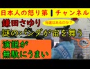 【鎌田さゆり謎のパンダが宙を舞う】演説が無駄にうまい鎌田さゆりの演説でパンダが宙を舞う事案が発生するも情弱ジジババを取り込むには十分すぎるつかみとパワフルなトークが炸裂している