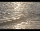 発行済み証明/裏命